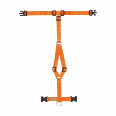 Haqihana krūšu siksna Carrot