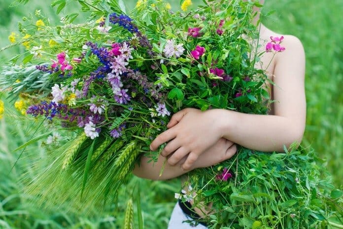 aromāti līgo un jāņos